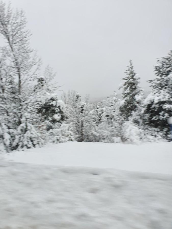 Coeur D'Altair Risoul 1850 Appartement T2 Confortable Skis Aux Pieds A 300 M Centre Exterior foto